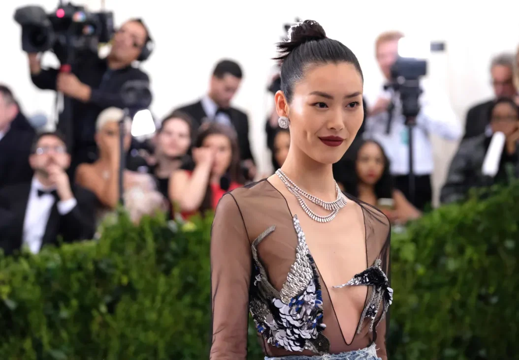 Liu Wen2