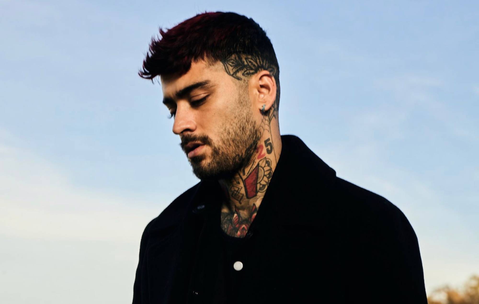 Zayn Malik3